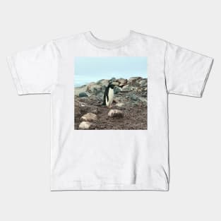 Adelie penguin in Antarctica Kids T-Shirt